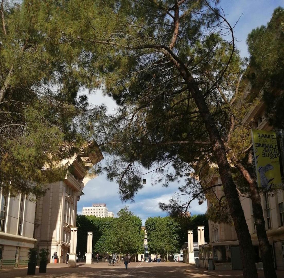 Acadie : Quartier Antigone, Ascenseur Tramway Calme Montpellier